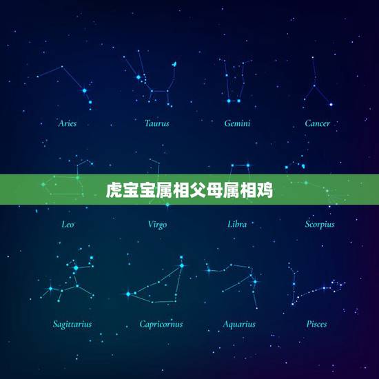 虎宝宝属相父母属相鸡，属虎的父母生什么属相的孩子
