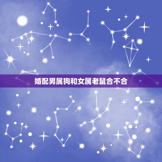婚配男属狗和女属老鼠合不合,属鼠的和属狗的配吗?女属鼠和男属狗配吗? 婚配男属狗和女属老鼠合不合,属鼠的和属狗的配吗?女属鼠和男属狗配吗?