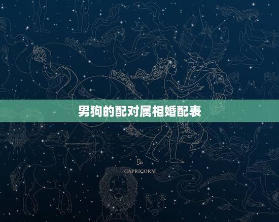 男狗的配对属相婚配表，2023年可以结婚的属相女