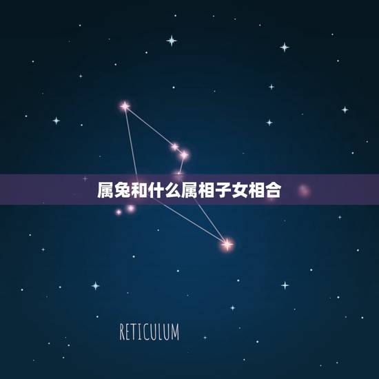 属兔和什么属相子女相合,属兔的女人和什么属相最般配 属兔和什么属相子女相合,属兔的女人和什么属相最般配
