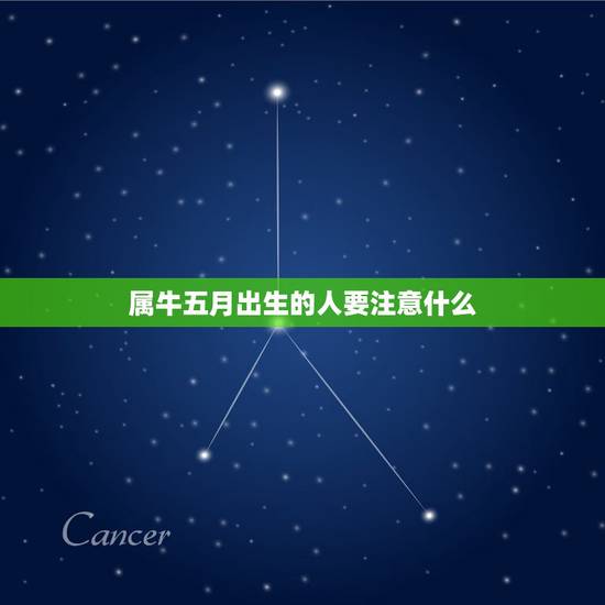 属牛五月出生的人要注意什么，属牛5月出生的好不好
