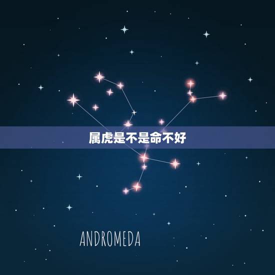 属虎是不是命不好,十羊九不全是什么意思 属虎是不是命不好,十羊九不全是什么意思