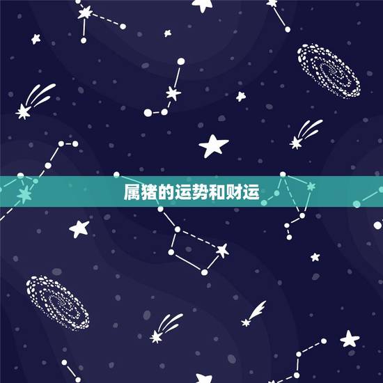 属猪的运势和财运,猪2022 财运 属猪的运势和财运,猪2022 财运