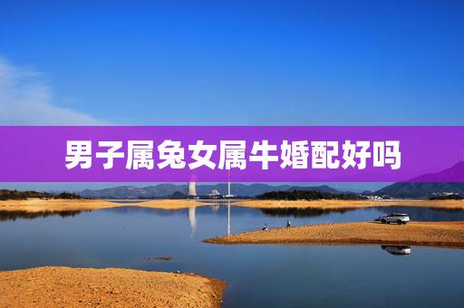 男子属兔女属牛婚配好吗，属兔和属牛的相配吗