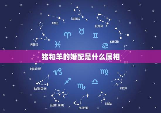 猪和羊的婚配是什么属相，属相婚配：男属羊和女属猪相配吗？