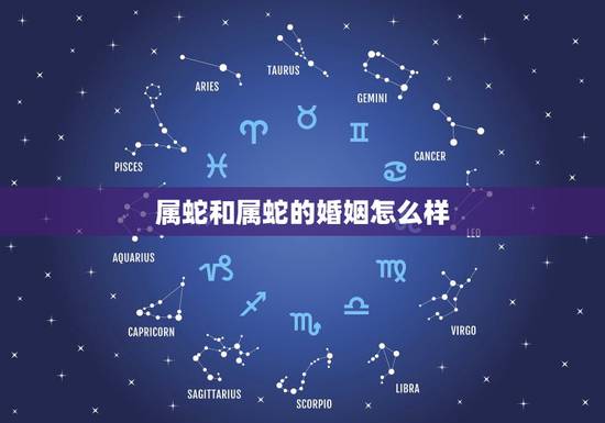 属蛇和属蛇的婚姻怎么样,两个属蛇的结婚相克吗 属蛇和属蛇的婚姻怎么样,两个属蛇的结婚相克吗