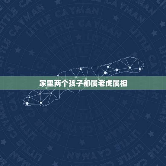 家里两个孩子都属老虎属相，家里一家三口属虎再要一个什么属相的好