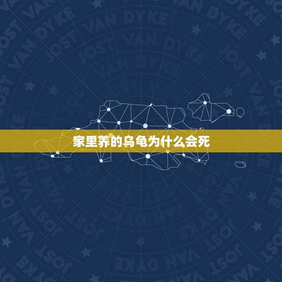 家里养的乌龟为什么会死，家养乌龟突然死亡怎么回事？