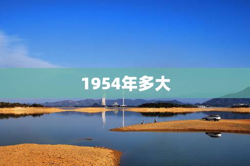1954年多大，1954年属马能活多久