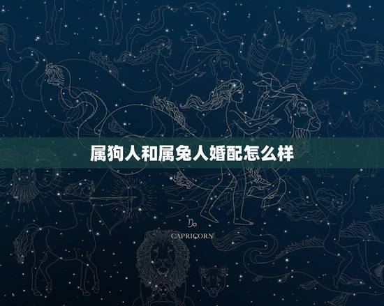 属狗人和属兔人婚配怎么样，属狗的和属兔的相配吗？