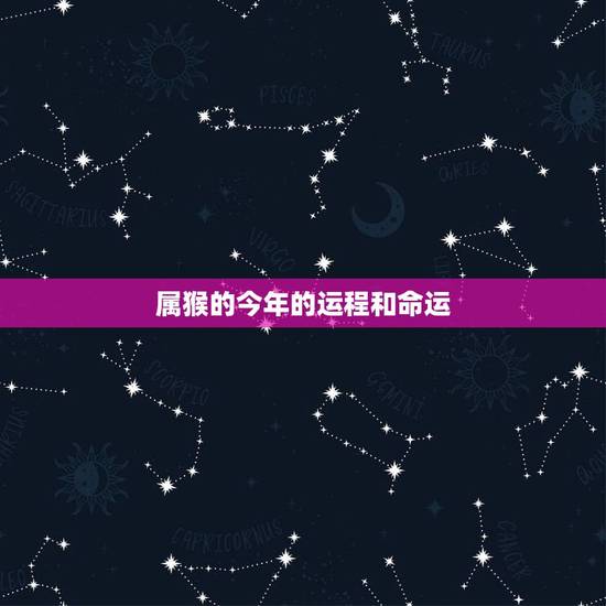属猴的今年的运程和命运，1973年属牛2022 年运势