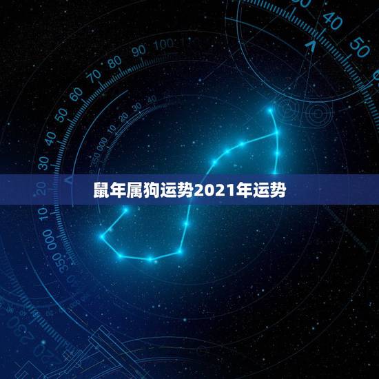 鼠年属狗运势2021年运势，属狗今年运势2021年运势