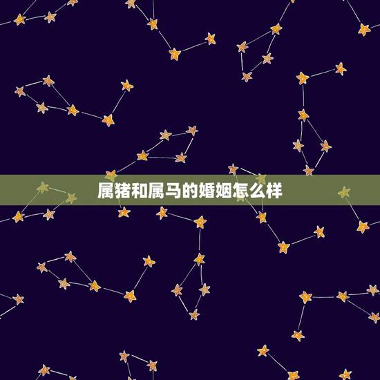 属猪和属马的婚姻怎么样，属马和属猪怎么样