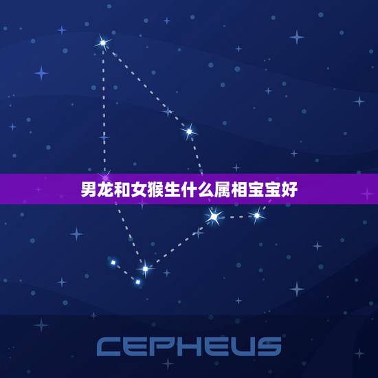 男龙和女猴生什么属相宝宝好，属猴的父母适宜生什么属相的孩子