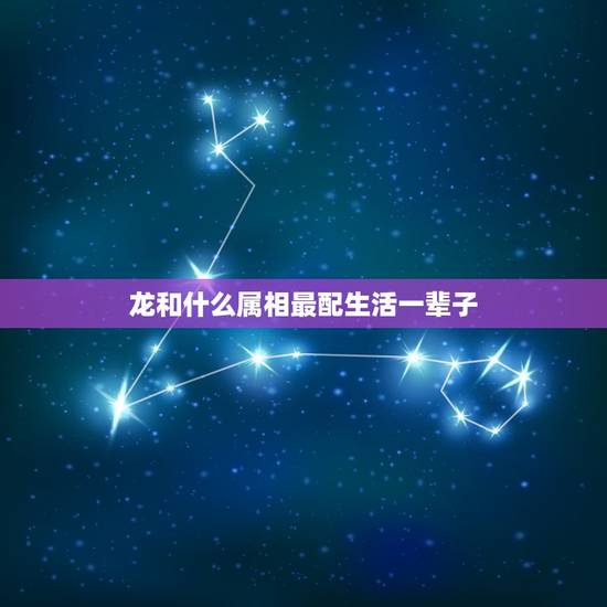 龙和什么属相最配生活一辈子,属龙的和什么属相最配 龙和什么属相最配生活一辈子,属龙的和什么属相最配