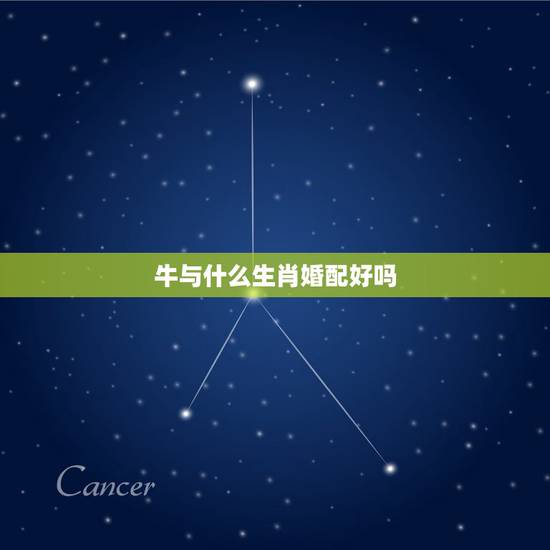 牛与什么生肖婚配好吗，生肖牛的人与生肖猴的人婚配好吗