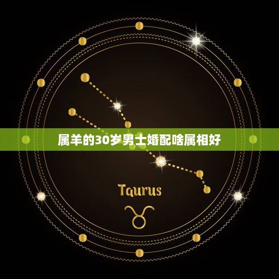 属羊的30岁男士婚配啥属相好，79年属羊男和什么属相最配