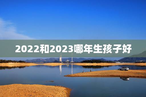 2022和2023哪年生孩子好,属羊的父亲生一个2023年的兔宝宝好一 2022和2023哪年生孩子好,属羊的父亲生一个2023年的兔宝宝好一
