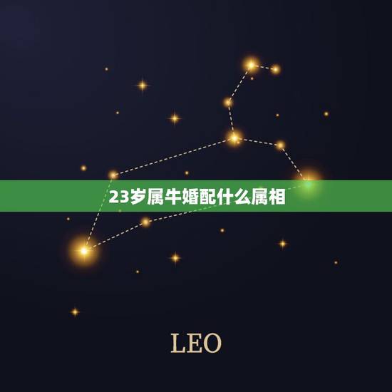 23岁属牛婚配什么属相,23岁属相婚配 23岁属牛婚配什么属相,23岁属相婚配