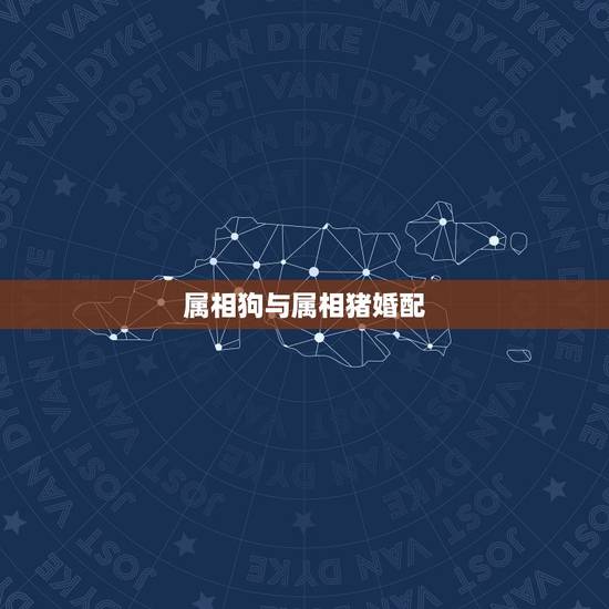 属相狗与属相猪婚配,属狗跟属猪的婚姻配吗 属相狗与属相猪婚配,属狗跟属猪的婚姻配吗