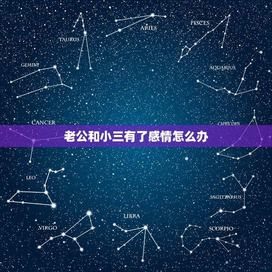 老公和小三有了感情怎么办,老公和小三是真爱怎么办 老公和小三有了感情怎么办,老公和小三是真爱怎么办