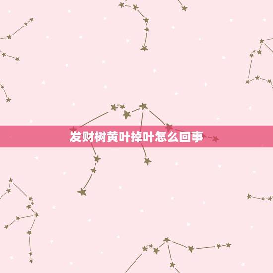 发财树黄叶掉叶怎么回事，发财树的叶子发黄，掉叶子怎么办