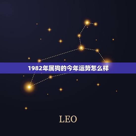 1982年属狗的今年运势怎么样，1982年属狗人2022 年11月运势