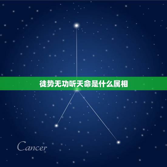 徒势无功听天命是什么属相,求解释《徒劳无功听天命打一生肖》 徒势无功听天命是什么属相,求解释《徒劳无功听天命打一生肖》