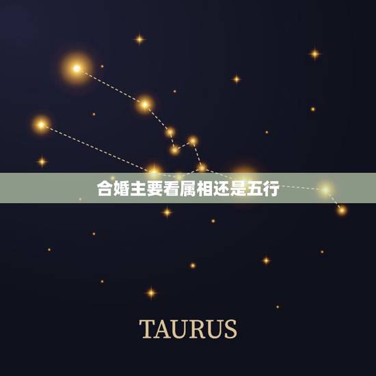 合婚主要看属相还是五行，婚配按生肖还是八字准