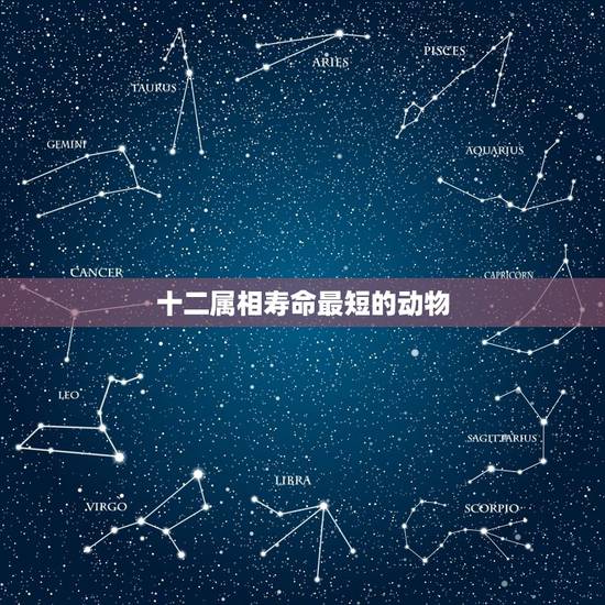 十二属相寿命最短的动物,十二生肖中。什么动物的寿命最短 十二属相寿命最短的动物,十二生肖中。什么动物的寿命最短