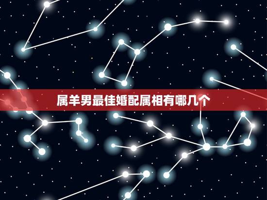 属羊男最佳婚配属相有哪几个,1979年属羊的属相婚配,和什么属相最配? 属羊男最佳婚配属相有哪几个,1979年属羊的属相婚配,和什么属相最配?