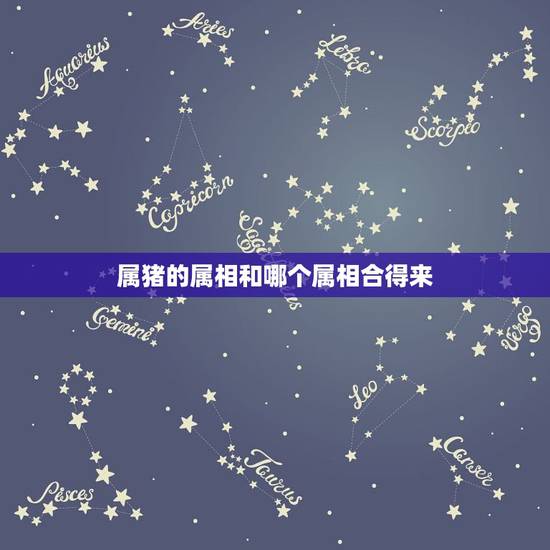 属猪的属相和哪个属相合得来,猪和哪个属相合财 属猪的属相和哪个属相合得来,猪和哪个属相合财