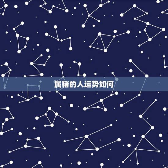 属猪的人运势如何，属猪人的运势怎么样？