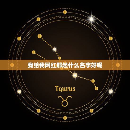 我给我网红那起什么名字好呢，取个网红名