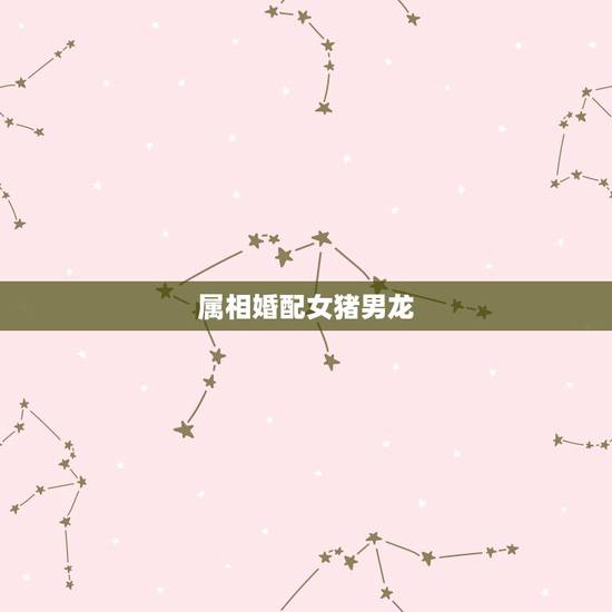 属相婚配女猪男龙,男属猪和女属龙婚姻相配吗 属相婚配女猪男龙,男属猪和女属龙婚姻相配吗