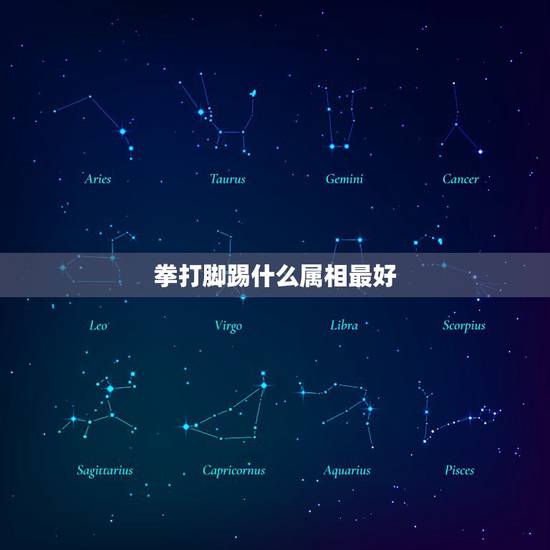 拳打脚踢什么属相最好，拳打脚踢的生肖是什么？