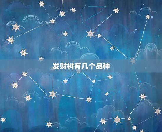 发财树有几个品种,发财树有几个品种! 发财树有几个品种,发财树有几个品种!