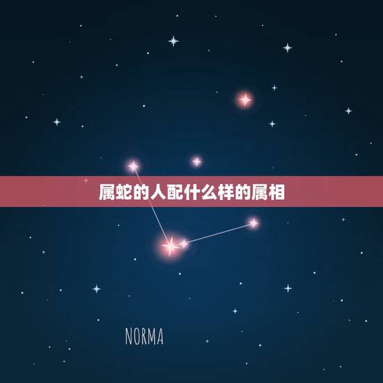 属蛇的人配什么样的属相,属蛇的和什么属相配 属蛇的人配什么样的属相,属蛇的和什么属相配