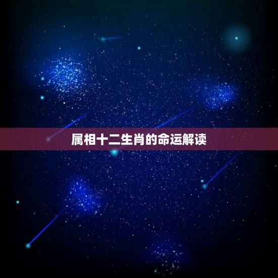 属相十二生肖的命运解读，十二生肖的各属于什么命