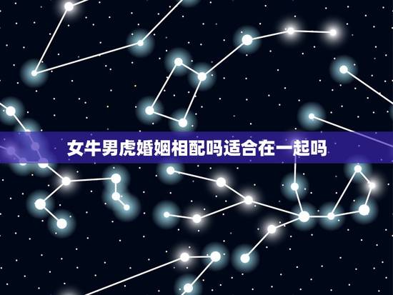 女牛男虎婚姻相配吗适合在一起吗,女牛男虎婚姻相配吗? 女牛男虎婚姻相配吗适合在一起吗,女牛男虎婚姻相配吗?