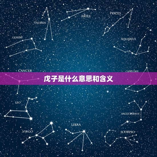 戊子是什么意思和含义，戊子日婚姻天生带和