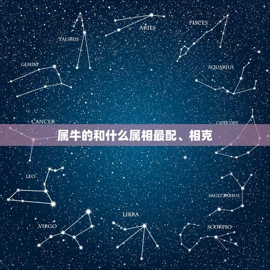 属牛的和什么属相最配、相克，属牛和什么属相相克
