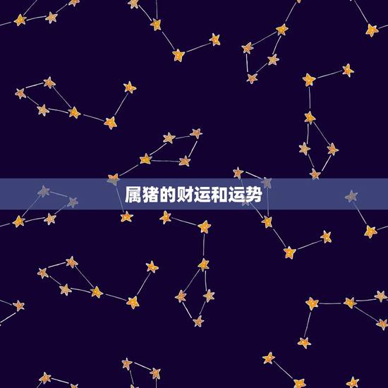 属猪的财运和运势，生肖属猪本周下周运势