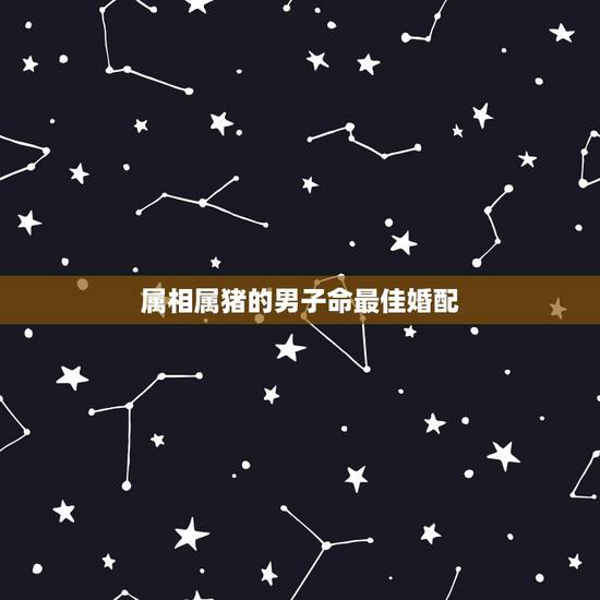 属相属猪的男子命最佳婚配,属猪的男的和哪个属相最配对 属相属猪的男子命最佳婚配,属猪的男的和哪个属相最配对