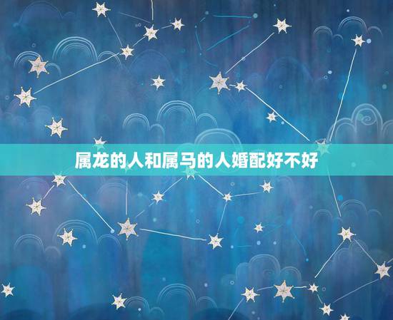 属龙的人和属马的人婚配好不好，属龙和属马的结婚好吗