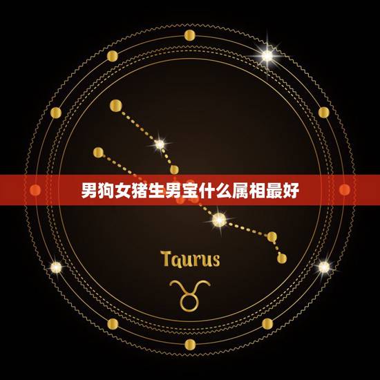 男狗女猪生男宝什么属相最好，男属狗女属猪生哪个生肖的子女好