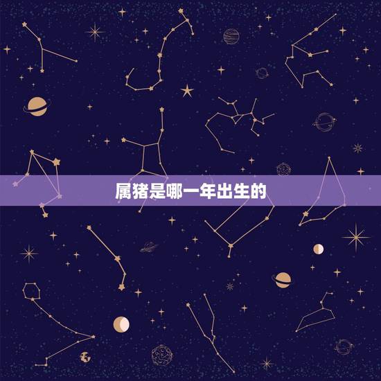 属猪是哪一年出生的,1995年属猪的更佳配偶 属猪是哪一年出生的,1995年属猪的更佳配偶