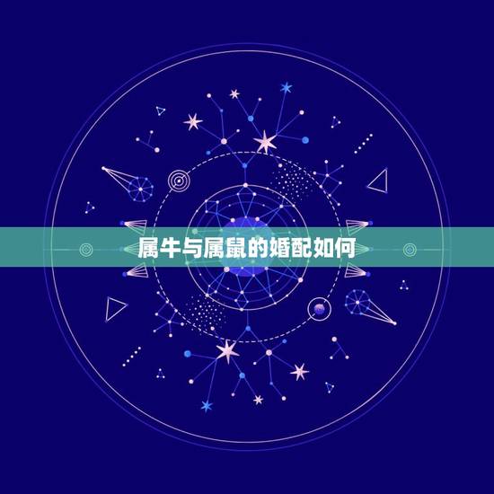 属牛与属鼠的婚配如何，属牛牛的和什么属相最配