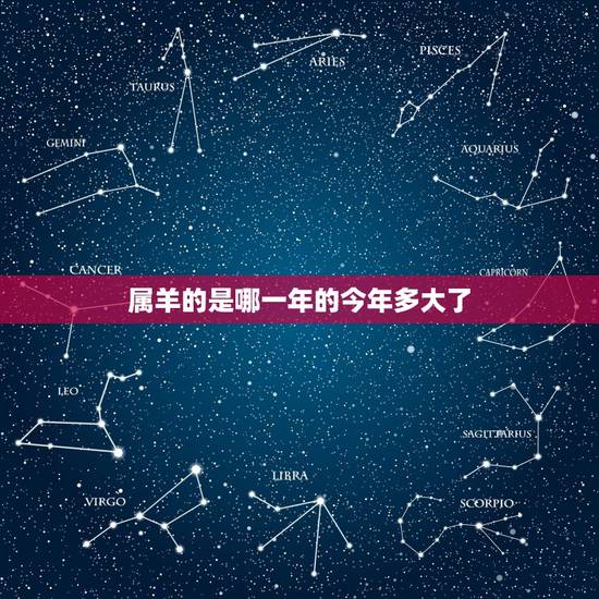 属羊的是哪一年的今年多大了，羊年是哪一年多少岁