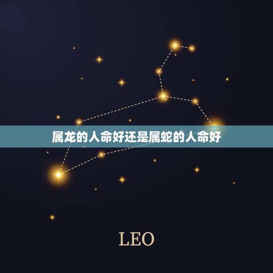 属龙的人命好还是属蛇的人命好，男属龙女属蛇配不配